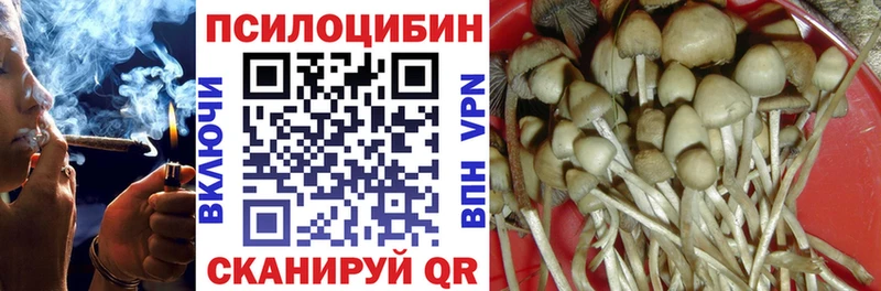 omg онион  Анива  Псилоцибиновые грибы Psilocybine cubensis  наркошоп 